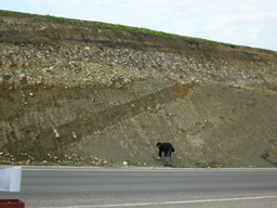 niigata12.jpg