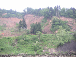 niigata2.jpg