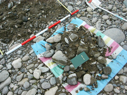 niigata9.jpg