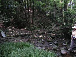 sagamihara3.jpg